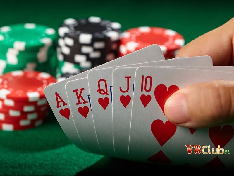 Các vòng cược Short deck poker Các vòng cược Short deck poker